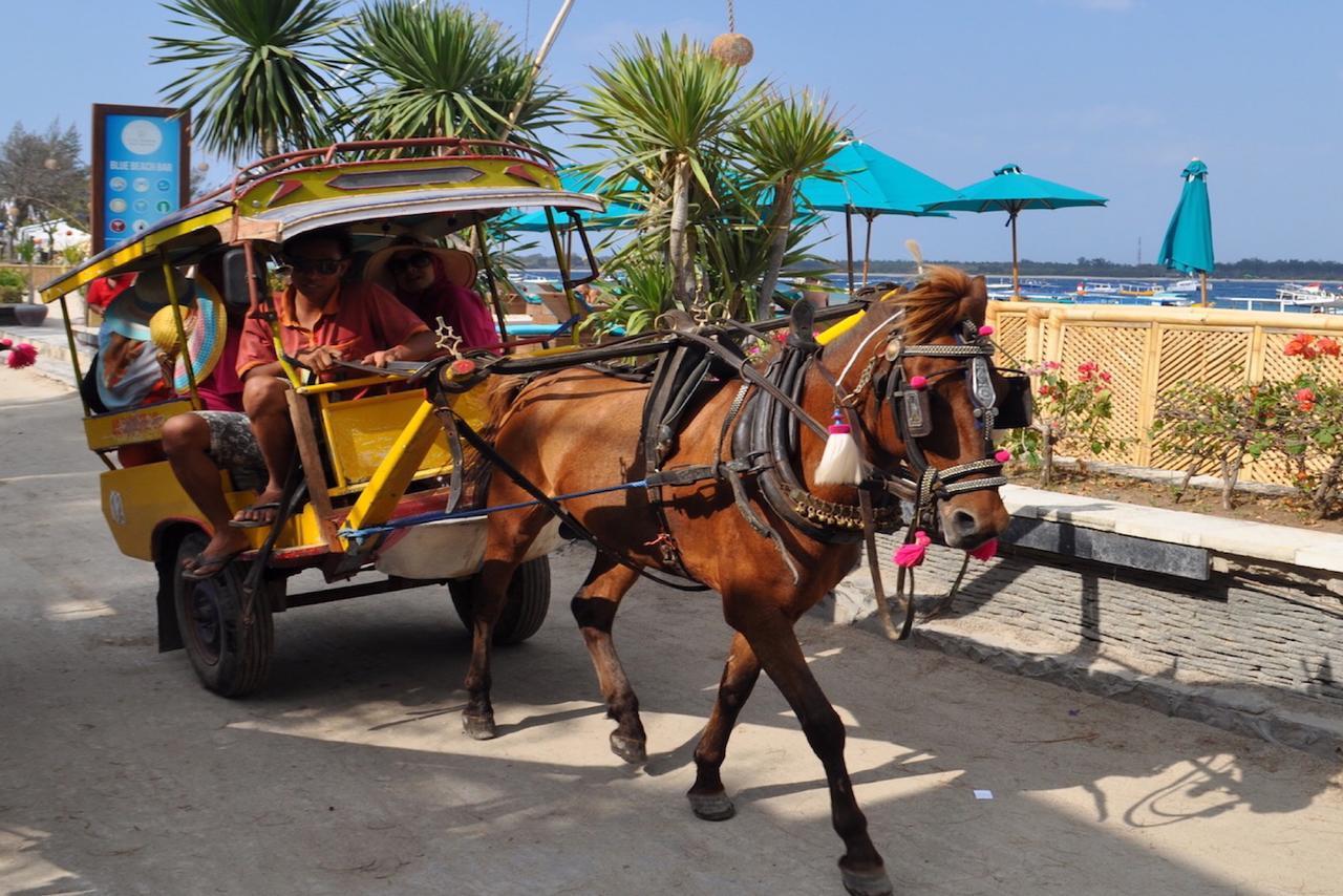 Amora Villa Gili Trawangan Exteriér fotografie
