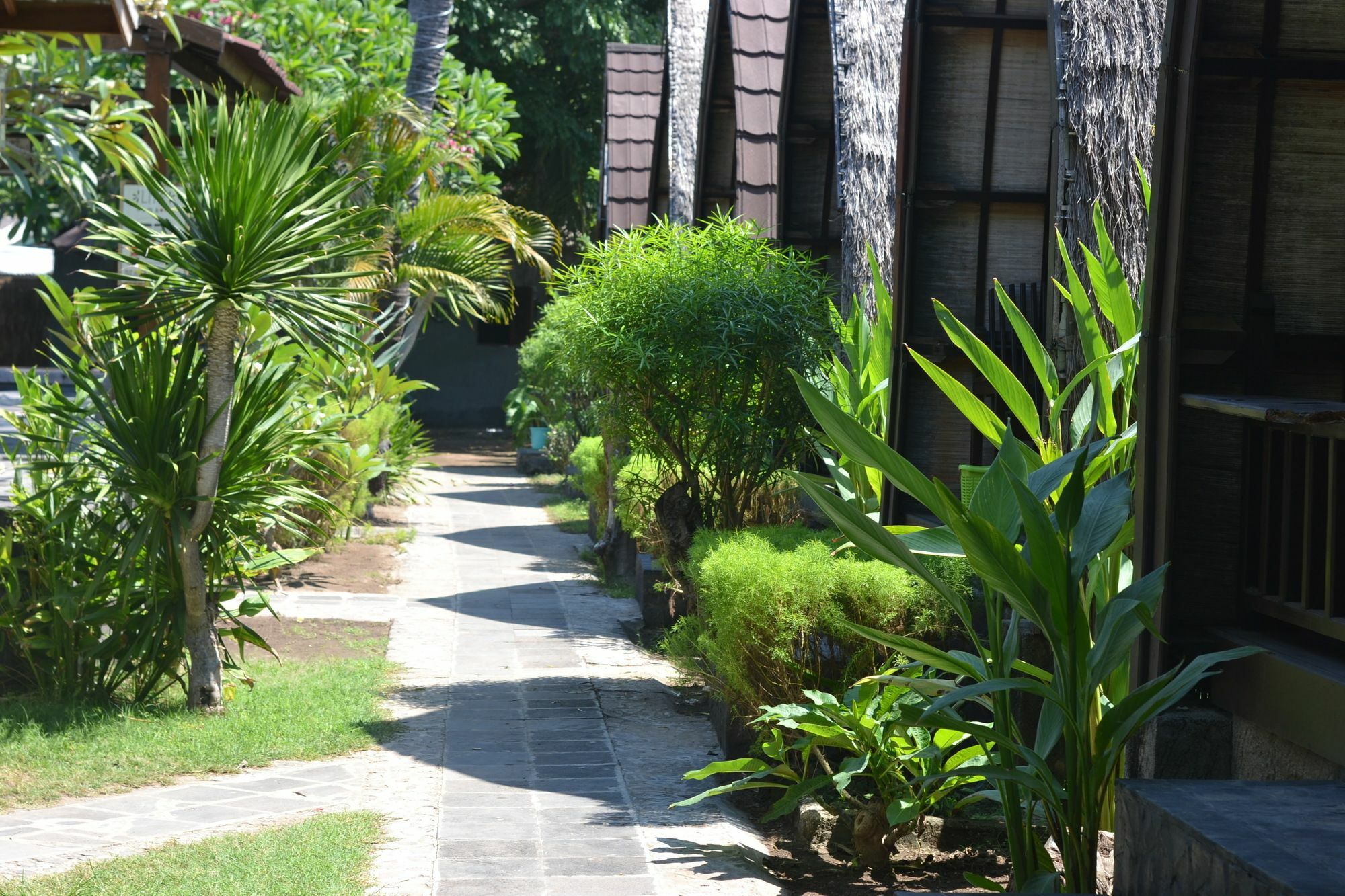 Amora Villa Gili Trawangan Exteriér fotografie